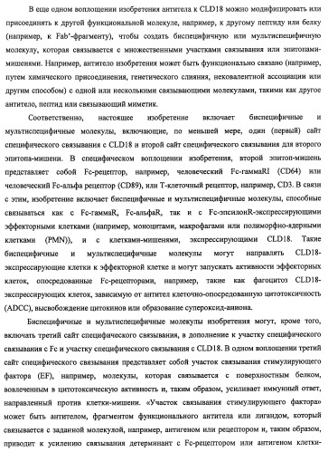 Моноклональные антитела к клаудину-18 для лечения рака (патент 2445319)