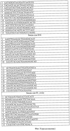 Способ выбора днк-зондов для микрочиповой диагностики, биочип и способ типирования гена нейраминидазы и гемагглютинина вируса гриппа а (патент 2470076)