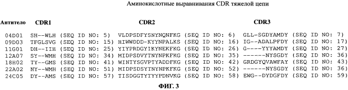 Антитела к erbb3 (патент 2568051)