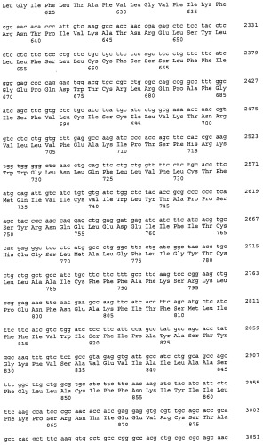 Агент для придания кокуми (патент 2532834)