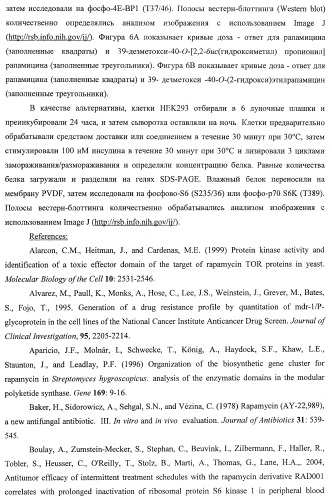 39-дезметокси производные рапамицина (патент 2391346)