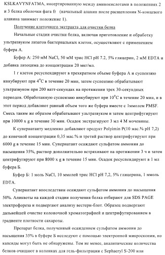 Вирусоподобные частицы, включающие гибридный белок белка оболочки бактериофага ар205 и антигенного полипептида (патент 2409667)