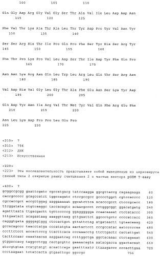 Лечение prdc у молодых свиней (патент 2522849)