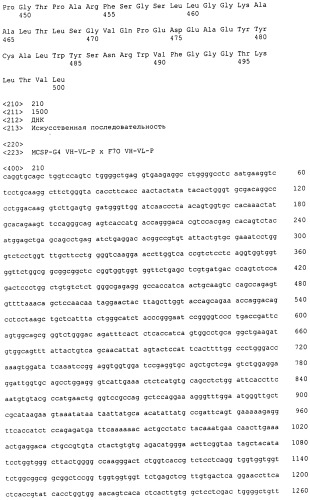 Psma×cd3 биспецифическое одноцепочечное антитело с межвидовой специфичностью (патент 2559531)