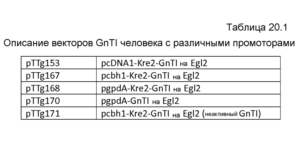 Клетка нитчатых грибов с дефицитом протеаз и способы ее применения (патент 2645252)