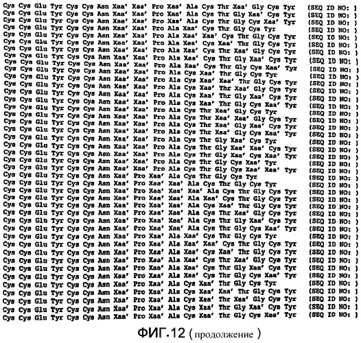 Полипептид для увеличения активности рецептора гуанилатциклазы, фармацевтическая композиция, способ лечения желудочно-кишечного расстройства у пациента, способ повышения активности рецептора гуанилатциклазы у пациента, способ лечения висцеральной боли, способ получения полипептида (варианты), изолированная молекула нуклеиновой кислоты, бактериальный вектор экспрессии и изолированная бактериальная клетка (патент 2433133)