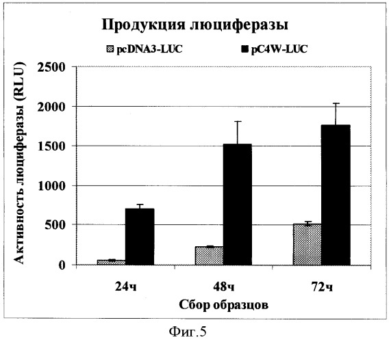 Экспрессионный вектор для синтеза белков в клетках млекопитающих (патент 2364627)