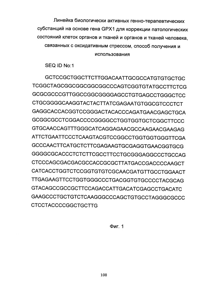 Линейка биологически активных генно-терапевтических субстанций на основе гена gpx1 для коррекции патологических состояний клеток органов и тканей и органов и тканей человека, связанных с оксидативным стрессом, способ получения и использования (патент 2653491)