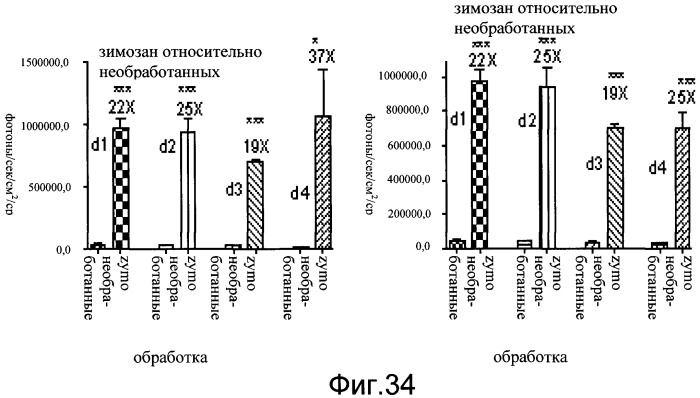 Трансгенное животное, отличное от человека, и его применения (патент 2579701)