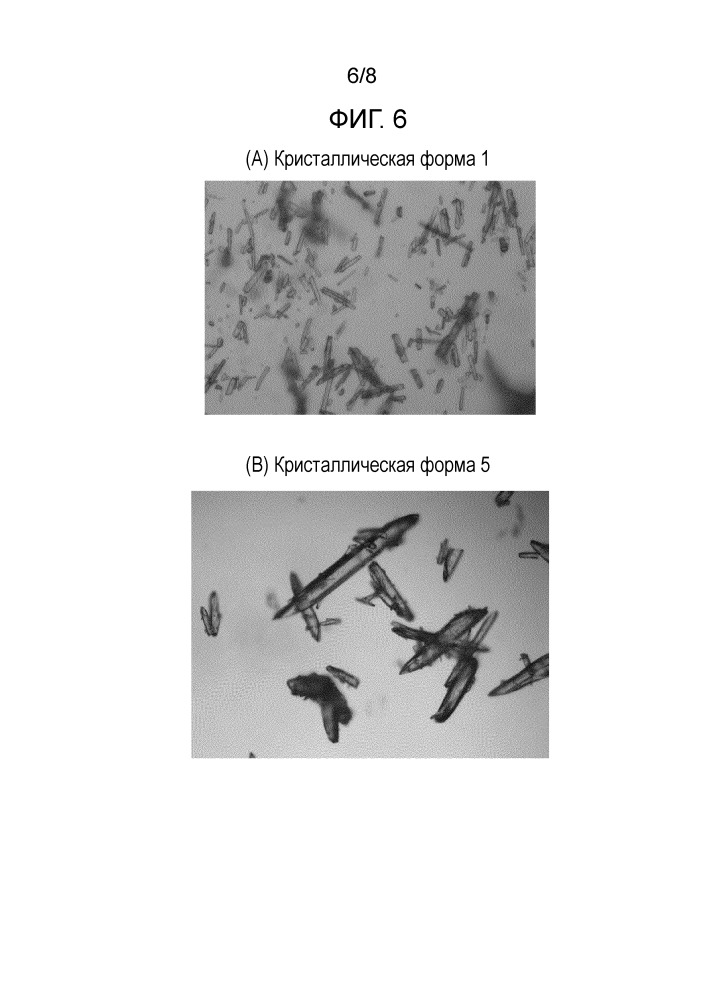 Новая кристаллическая форма метансульфонат 5-хлор-n-({ (5s)-2-оксо-3-[4-(5,6-дигидро-4h-[1,2,4]триазин-1-ил)фенил]-1,3-оксазолидин-5-ил} метил)тиофен-2-карбоксамида и содержащая его фармацевтическая композиция (патент 2663617)