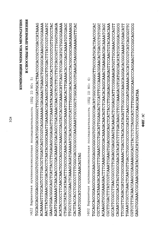 Композиции neisseria meningitidis и способы их применения (патент 2665841)