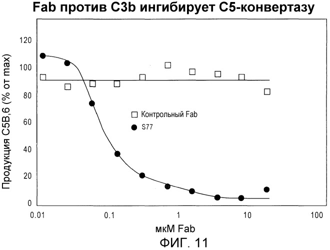 Антитела против c3b и способы профилактики и лечения связанных с комплементом нарушений (патент 2473563)