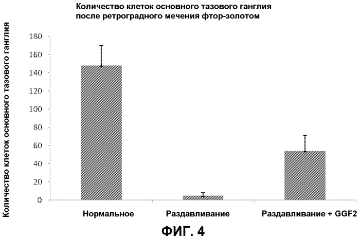 Применение нейрегулина для лечения повреждения периферических нервов (патент 2575570)