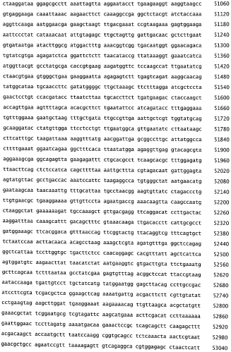 Бактериофаг, обладающий активностью против pseudomonas aeruginosa, белки бактериофага и способы их применения (патент 2580248)