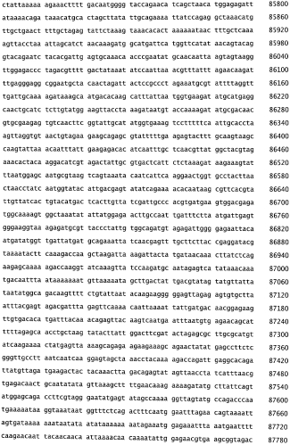 Бактериофаг, обладающий активностью против pseudomonas aeruginosa, белки бактериофага и способы их применения (патент 2580248)