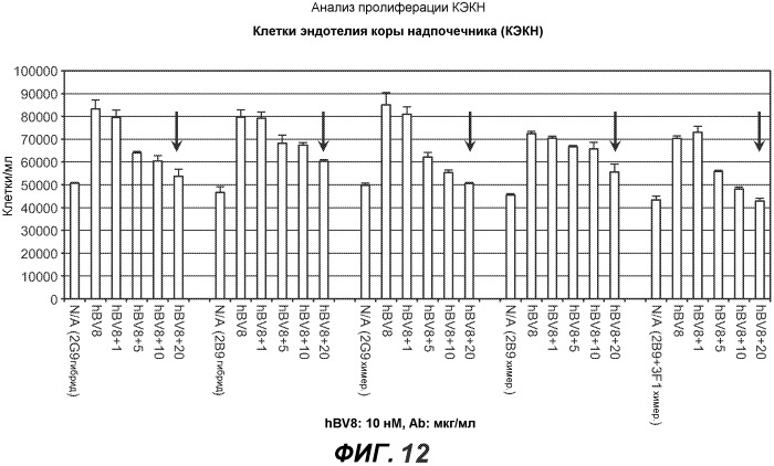 Антитела против bv8 и их применение (патент 2559542)