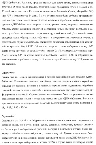 Молекулы нуклеиновых кислот, кодирующие wrinkled1-подобные полипептиды, и способы их применения в растениях (патент 2385347)