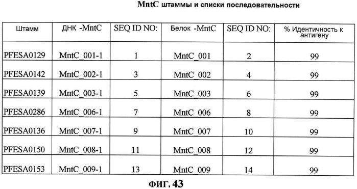 Стабильные иммуногенные композиции антигенов staphylococcus aureus (патент 2570730)