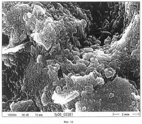 Композиты неорганических и/или органических микрочастиц и наночастиц карбоната кальция (патент 2448995)