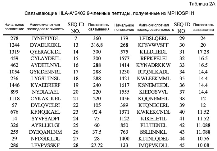 Пептидные вакцины против рака с экспрессией полипептидов mphosph1 или depdc1 (патент 2469044)