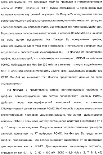 Способ модификации пищевого поведения и применение pyy или его агониста в качестве средства для модификации пищевого поведения (патент 2317104)