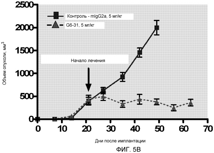 Композиции и способы для лечения опухоли (патент 2482877)