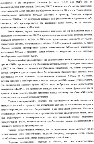 Моноклональные антитела против nkg2a (патент 2481356)