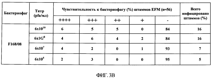 Бактериофаг, обладающий активностью против pseudomonas aeruginosa, белки бактериофага и способы их применения (патент 2580248)