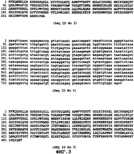 Иммуногенный полипептид, вызывающий защитный иммунный ответ против bacillus anthracis (варианты), способ его получения, нуклеиновая кислота, кодирующая его, вектор для экспрессии (варианты), способ и вакцина для предупреждения инфекции, вызванной bacillus anthracis (патент 2270865)