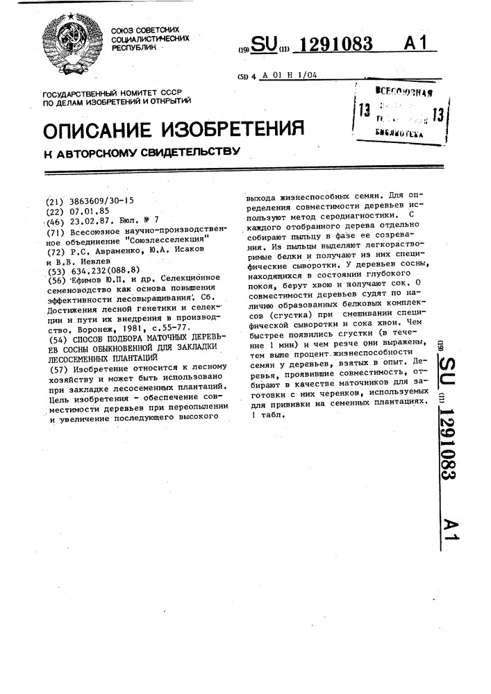 Способ подбора маточных деревьев сосны обыкновенной для закладки лесосеменных плантаций (патент 1291083)