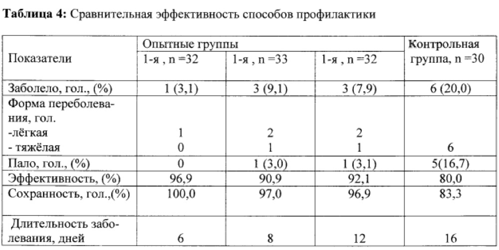 Способ профилактики респираторных болезней телят (патент 2620548)