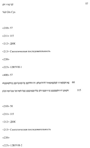 Модифицированное агонистическое антитело (патент 2295537)