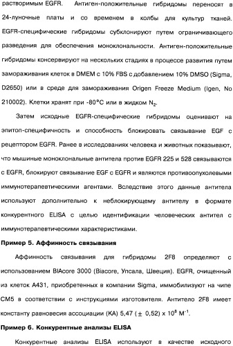 Человеческие моноклональные антитела к рецептору эпидермального фактора роста (egfr), способ их получения и их использование, гибридома, трансфектома, трансгенное животное, экспрессионный вектор (патент 2335507)