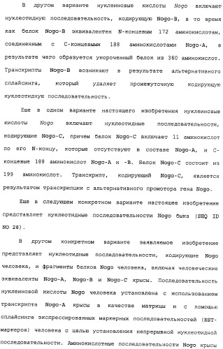 Поликлональное антитело против nogo, фармацевтическая композиция и применение антитела для изготовления лекарственного средства (патент 2432364)