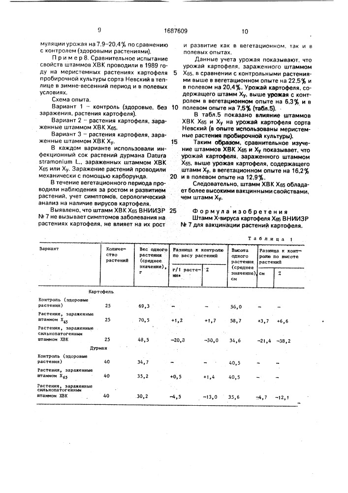 Штамм х-вируса картофеля х65 для вакцинации растений картофеля (патент 1687609)