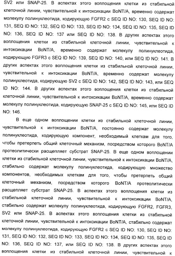 Иммунологические анализы активности ботулинического токсина серотипа а (патент 2491293)