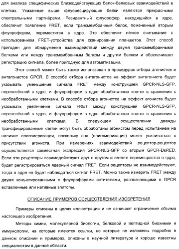 Способ идентификации соединений, взаимодействующих с трансмембранными белками (патент 2326166)