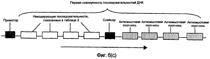 Конструкции нуклеиновой кислоты и способы получения масла с измененным составом из семян (патент 2392795)
