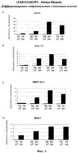 Дифференцировка эмбриональных стволовых клеток человека (патент 2465323)