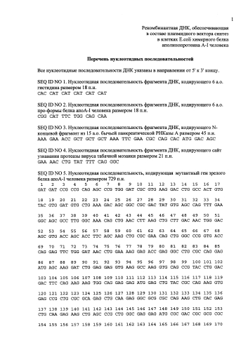 Рекомбинантная днк, обеспечивающая в составе плазмидного вектора синтез в клетках e.coli химерного белка аполипопротеина a-i человека (патент 2573930)