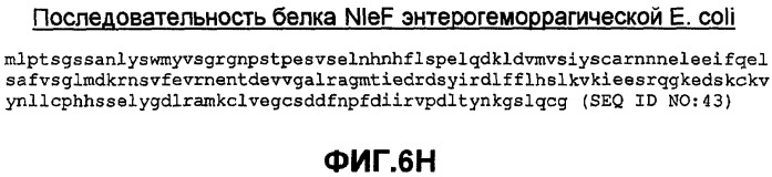 Бактериальные факторы вирулентности и варианты их применения (патент 2465331)