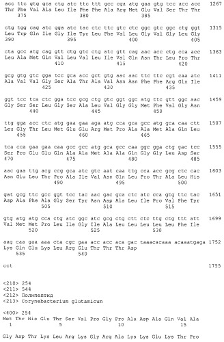 Гены corynebacterium glutamicum, кодирующие белки резистентности и толерантности к стрессам (патент 2303635)