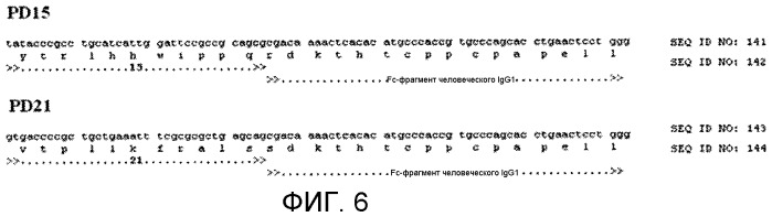Sparc, связывающийся с scfv (патент 2477728)