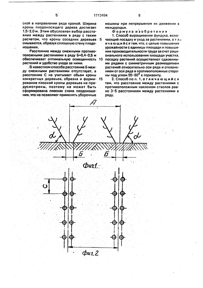 Способ выращивания фундука (патент 1713494)