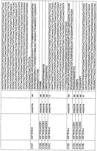 Pscaxcd3, cd19xcd3, c-metxcd3, эндосиалинxcd3, epcamxcd3, igf-1rxcd3 или fap-альфаxcd3 биспецифическое одноцепочечное антитело с межвидовой специфичностью (патент 2547600)