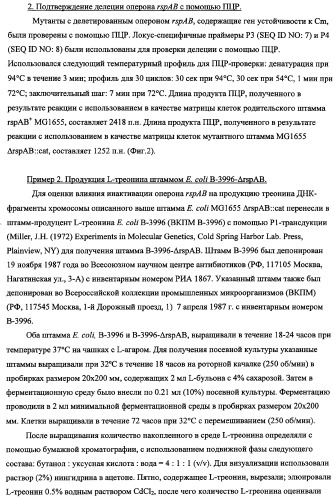 Способ получения l-треонина с использованием бактерии, принадлежащей к роду escherichia, в которой инактивирован оперон rspab (патент 2337961)