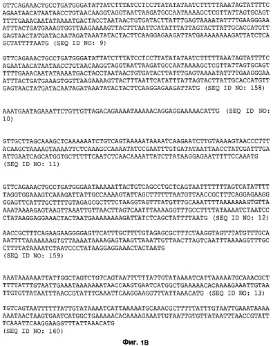 Промоторы lactococcus и их применение: (патент 2495129)