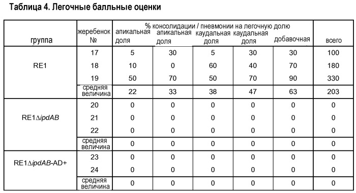 Применение бактерий, относящихся к группе нокардиоформных актиномицетов, для получения фармацевтической композиции и способ использования такой фармацевтической композиции (патент 2543663)