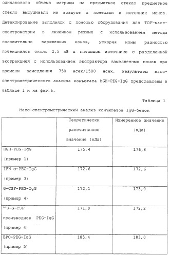 Физиологически активный полипептидный конъюгат, обладающий пролонгированным периодом полувыведения in vivo (патент 2312868)