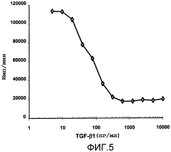 Применение последовательности днк, которая кодирует пептид, способный связываться с трансформирующим фактором роста  1 (варианты) (патент 2455358)